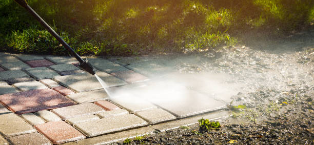 Best Spring Cleaning  in Bellevle, IL