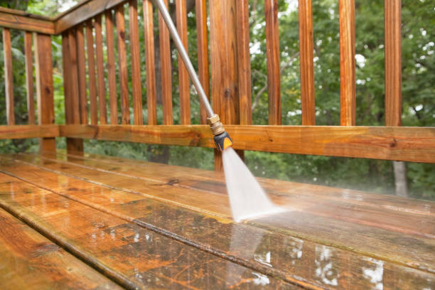 Best Gutter Cleaning  in Bellevle, IL